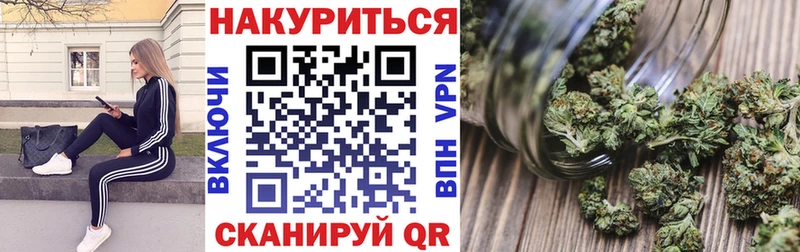 Каннабис план дарнет шоп Петропавловск-Камчатский